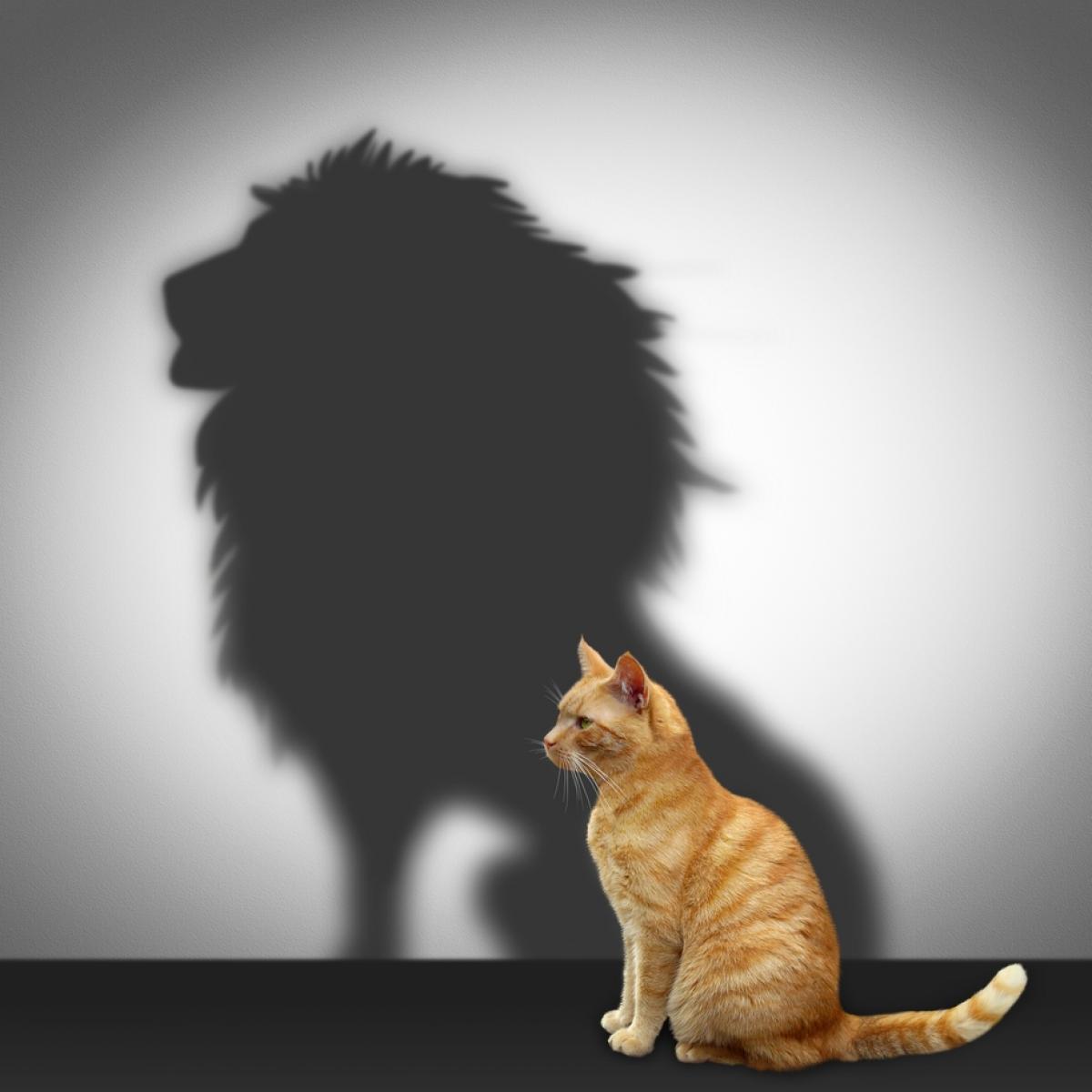 estime-confiance-psychologue-online