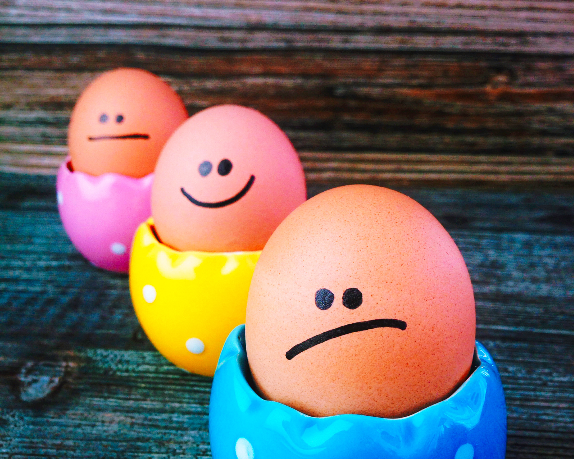 ateliers-émotions-janie-aschieri