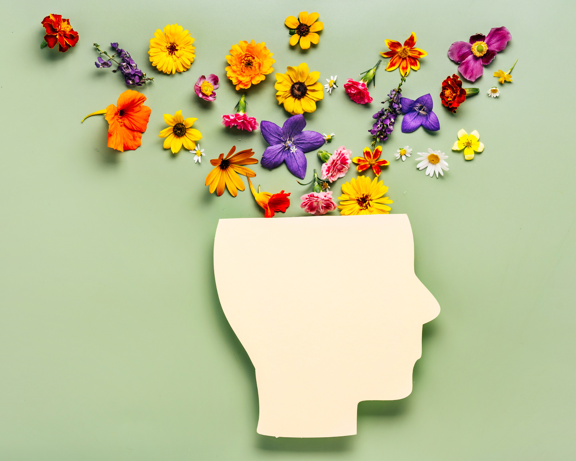 pensées-pleine-conscience-janie-aschieri